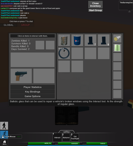 File:RobloxScreenShot06102014 144449418.png