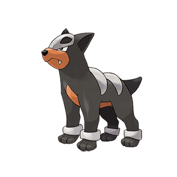 228 houndour