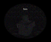 Nim