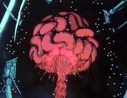 Brain