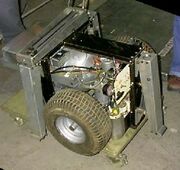 Mule1