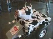 Madcow