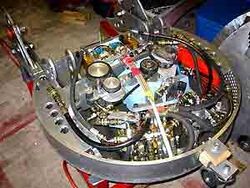 Crustaceans workings