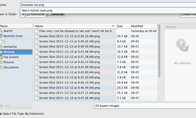 File:Screen Shot 2015-12-12 at 9.49.33 AM.png