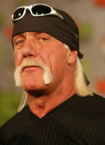 File:Hulk Hogan.jpg