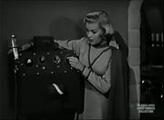 Translator