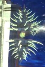 Enemy urchin