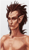 Wood Elf Male