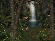 Wilderness Awaits