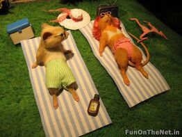 Mouse-diorama-sunbath