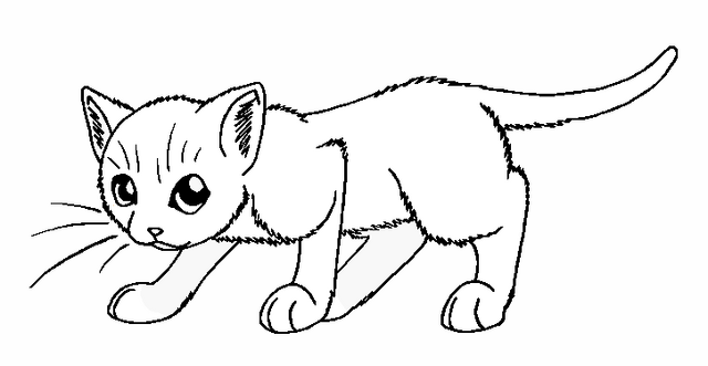 File:Kit.png