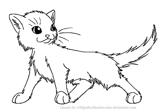 File:Kit2.png