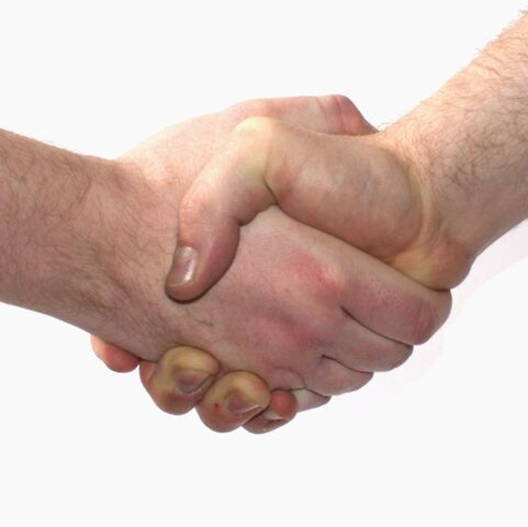 Fișier:Handshake (Workshop Cologne '06).jpeg