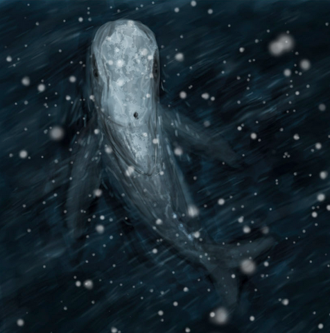 File:Whale.png