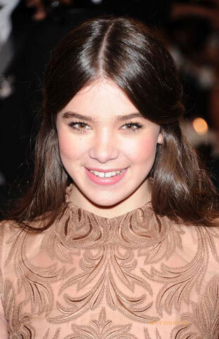 File:Steinfeld Met 2011.jpg