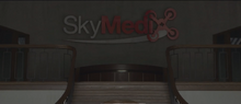 Sky Medix Logo