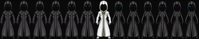 File:Organization XIII.png