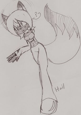 File:Hail 1.jpg