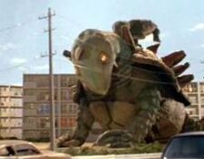 King Tortoise