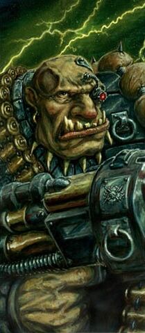 Файл:Ogryn.jpg