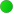 File:Novice.png