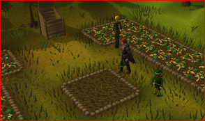 James farming