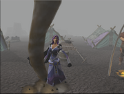 Leila whirlwind