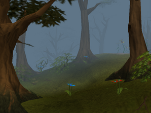 Forest1