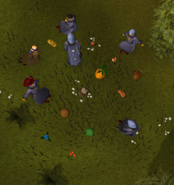 Entrana picnic 1 (cropped)
