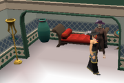 Comet in the Emira's bedroom