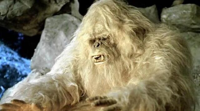 File:Yeti-wikipedia-commons.jpg