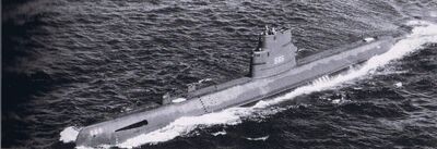 USS Wahoo (SS-565)