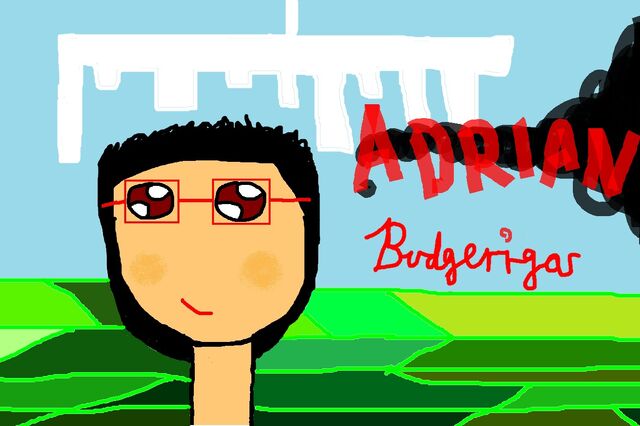 File:Adrian Budgerigar.jpg