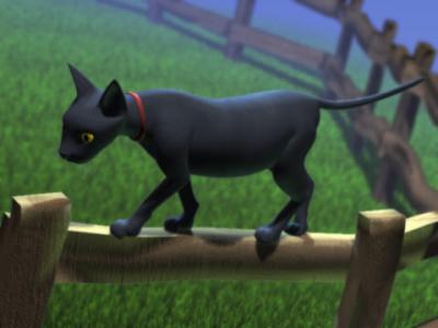 File:Bob.jpg