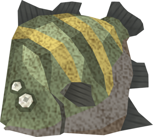 File:Raw giant flatfish detail.png