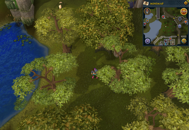 File:Compass clue Falador south of Heist entrance.png