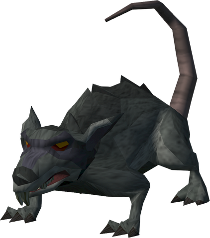 File:Lumbridge guard rat.png