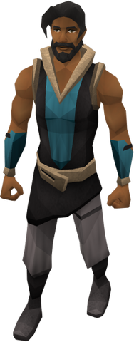 File:Saradominist priest.png