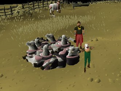 Duke of Bridgelum cow parts