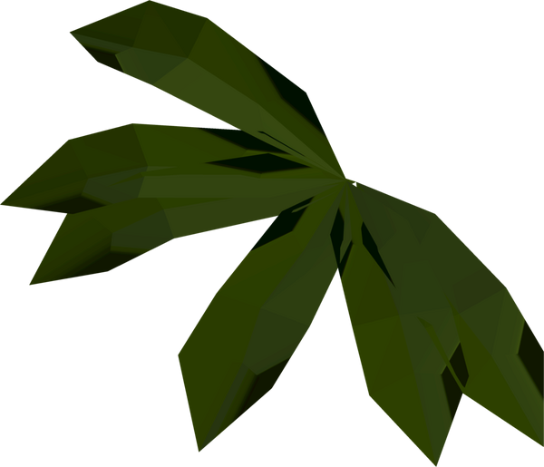 File:Kelp (Mogre Camp) detail.png