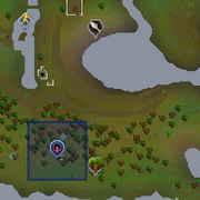 Ape Atoll Dungeon entrance location