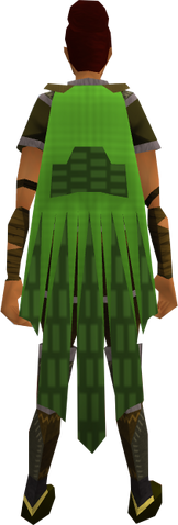 File:Team-36 cape equipped.png