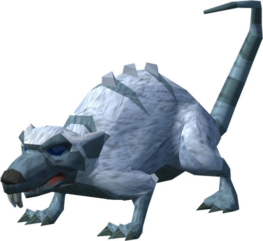 File:Albino rat (Familiarisation).png