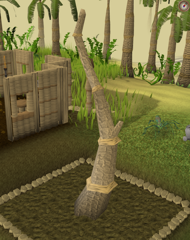 File:Calquat5.png
