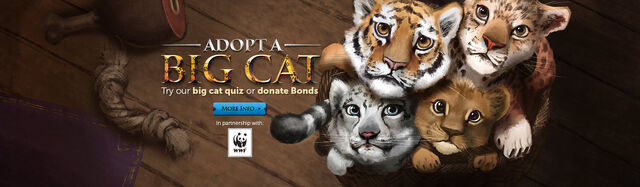 File:Big Cats head banner.jpg