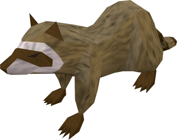 File:Raccoon (brown) pet.png
