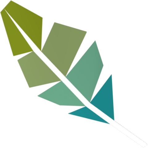 File:Stripy feather detail.png