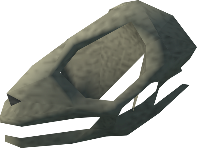 File:Lizard skull detail.png