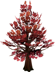 Bordo.png