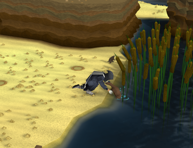 File:Releasing platypus.png